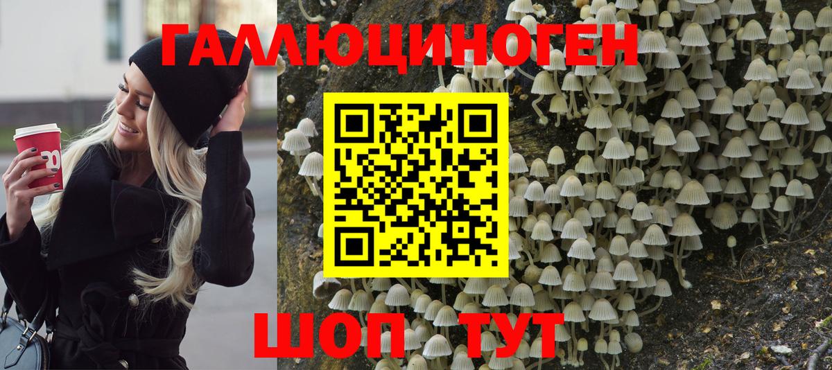 Черногорск  Псилоцибиновые грибы мицелий  Вход с VPN 